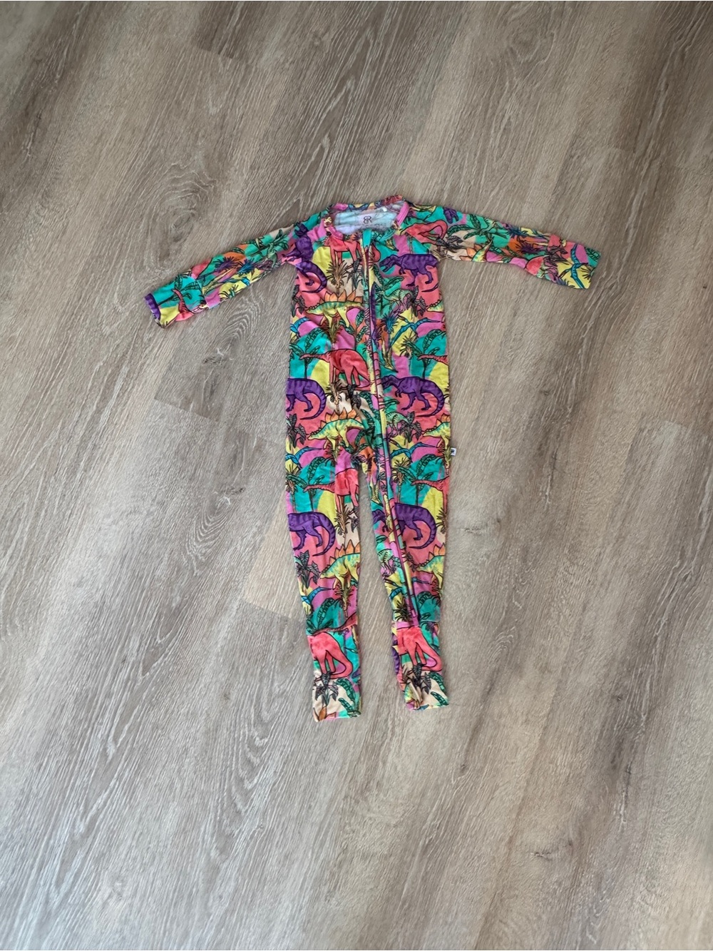 Bright Multicolor Dinosaur Zip-Front Kids Footed Pajamas